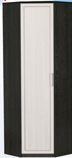 Шкаф для одежды угловой ДЛЯ ГОСТИНОЙ ШОУ-695 Венге/Дуб выбеленный в Туле - tula.katalogmebeli.com | фото